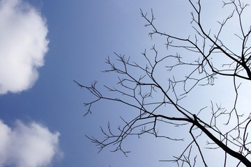 DSC03501.JPG