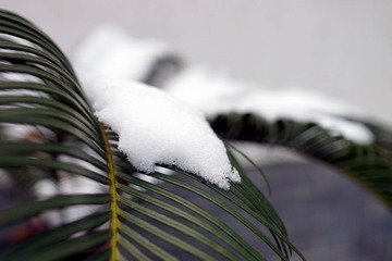 DSC00725.JPG