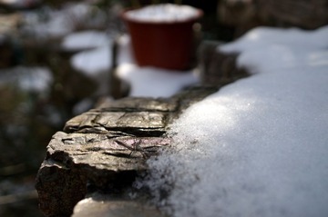 DSC00748.JPG