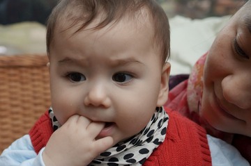 DSC01010.jpg