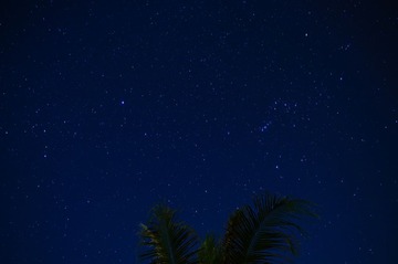 DSC01155.jpg
