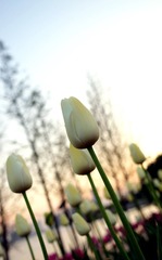 DSC02297.JPG