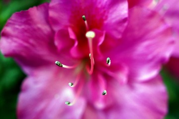 DSC02991.JPG