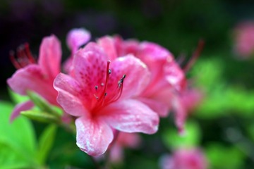 DSC03061.JPG