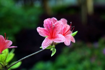 DSC03063.JPG