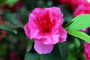 DSC03066.JPG