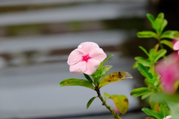 DSCF1619.JPG