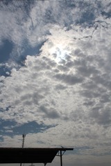 1000116233