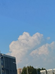 1000016886