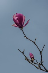 118018