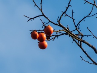 109656