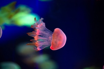 9730