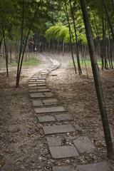 GW0O0325.jpg