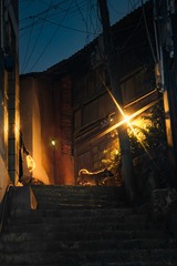 1000226477
