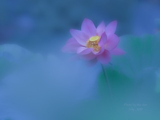 001