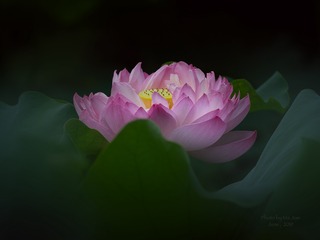 001