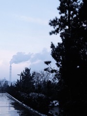 1632533