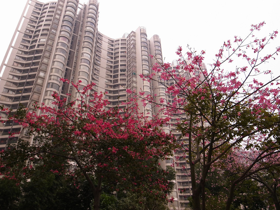 gdong Images - 南中国 Guangdong Images - adore