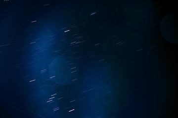 1000113172