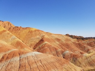 1000049575