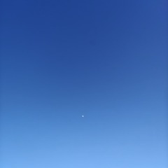 1000141316