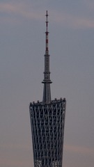1000028337