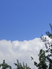 1000040188