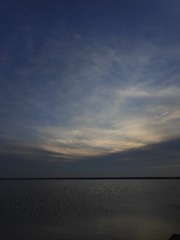 1000041610