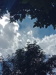 1000003418
