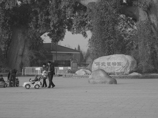 DSCN6941.JPG