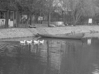 DSCN6947.JPG