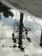 1000015255
