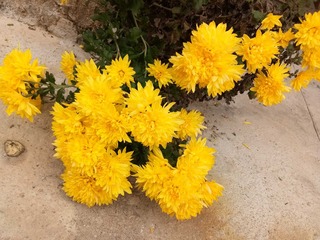 546