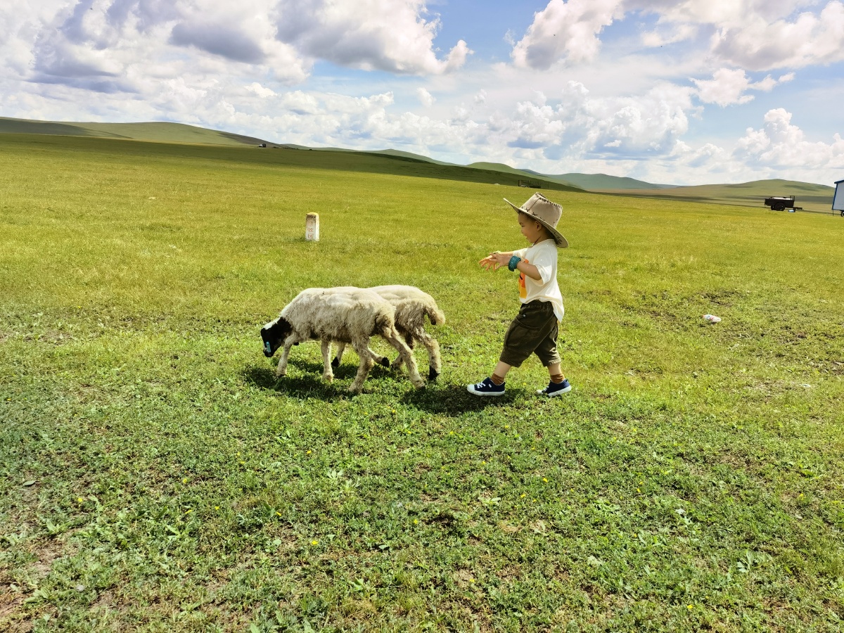 小小牧羊娃