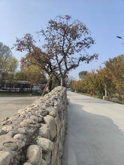 1000025601