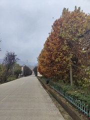 1000025727