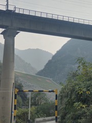 1000025603