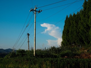 1000106449