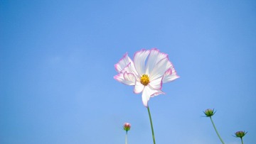 IMGP5844.jpg