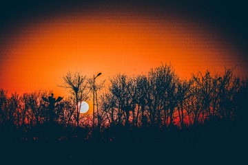 6EBB2ED7-E353-49D9-8EA1-432C2250EB79/L0/001