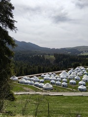 1000035622