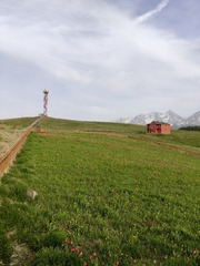 1000035928
