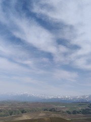 1000035711