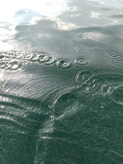 1000026741