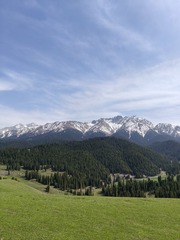 1000035568