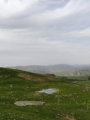 1000036228