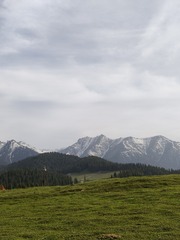 1000035804
