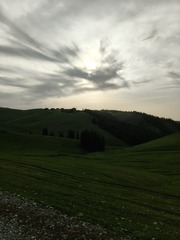 1000036239