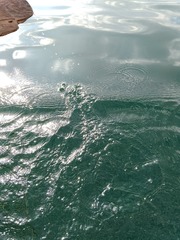 1000026742