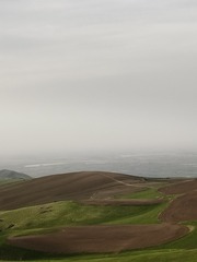 1000036314
